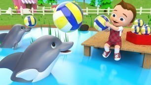 'Little Baby Play Dolphins Balls at Pool Learn Numbers for Children Kids Educational Videos'