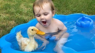 'Funny Baby Reaction to Duckling in the Pool'