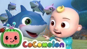 'Baby Shark | CoComelon Nursery Rhymes & Kids Songs'