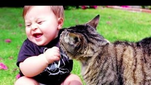 'Cutest Babies Play With Dogs And Cats Compilation || Cool Peachy'