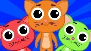 'five little kittens | nursery rhymes | kids songs | baby rhymes | childrens videos | kids tv'