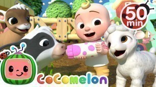 'Old MacDonald Song - Baby Animals + More Nursery Rhymes & Kids Songs - CoComelon'