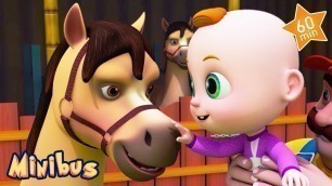 'Baby plays with Horses - 1h Compilation Nursery Rhymes with Animals & Kids Songs | Minibus'