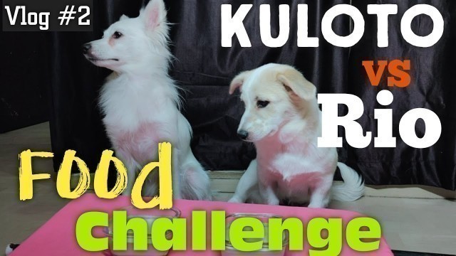 'Food challenge - Kulotobaby vs Riobaby | Vlog #2 -| Talking Dog'