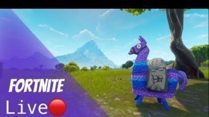 'Fortnite Custom Games Live!! Hide and seek, fashion shows, etc'