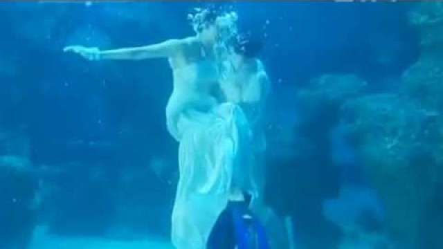 'Models make a splash in underwater show'