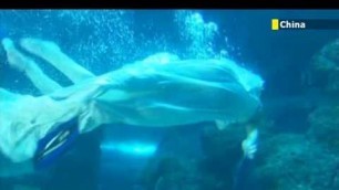 'Underwater Fashion Show: Chinese models host aquatic catwalk show in China\'s Fujian Province'