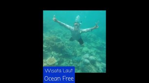 'Wisata Laut. Swimming Underwater, Renang lebih asik di banding Fashion Show. @karimunjawa holiday'