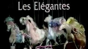 'fashion star fillies commercial - elegance'