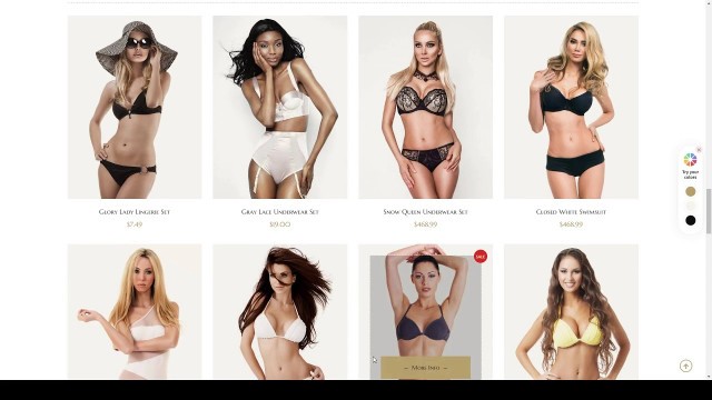 'Queeny - Fashion Lingerie WordPress Theme lingerie women39s fashion Build Website'