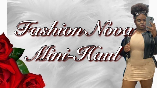 'Fashion Nova Mini Try On Haul'