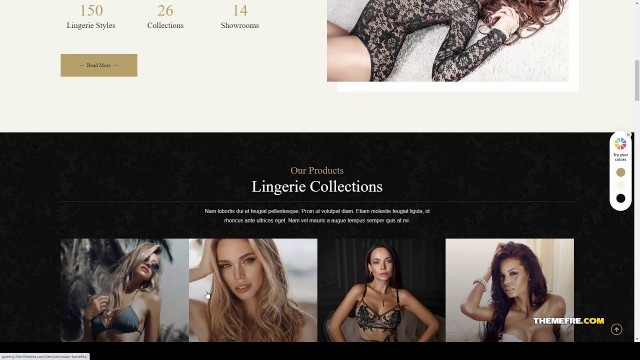 'Queeny - Fashion Lingerie WordPress Theme fashion wear Lingerie Store Build Website'