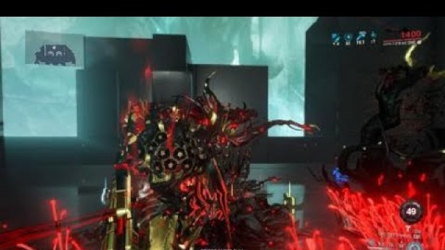 'BUILD E FASHION FRAME NIDUS PRIME'