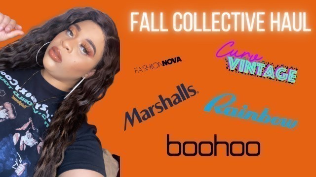 'Fall Collective Haul: Rainbow, Fashion Nova, & More |Dolly Roman'