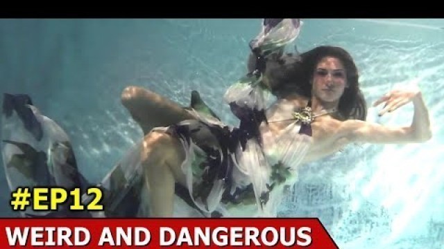 'Underwater Fashion Show  | Dolphin Wedding  | Dog Massage Therapy | Weird And Dangerous | Ep 12'