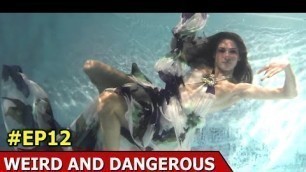 'Underwater Fashion Show  | Dolphin Wedding  | Dog Massage Therapy | Weird And Dangerous | Ep 12'