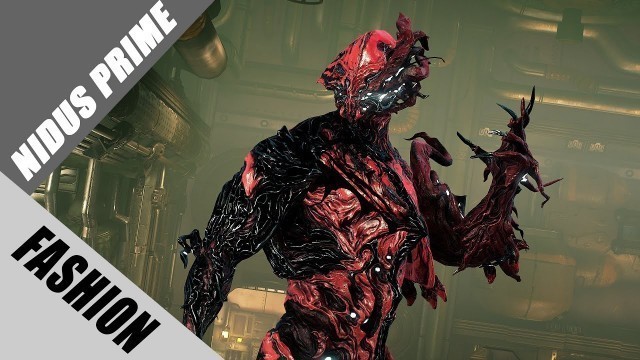 'Fashion Frame | Nidus Prime : Let there be Carnage'