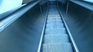 'Montgomery Escalator at Fashion Valley Mall'